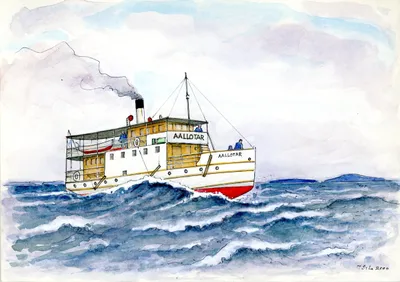 Aallotar aallokossa