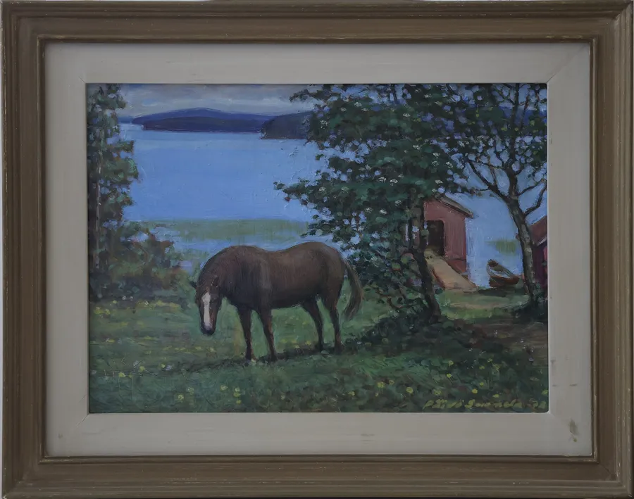Poku in a shore landscape