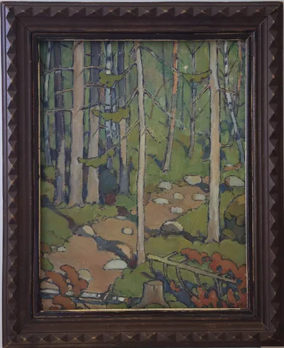Forest path