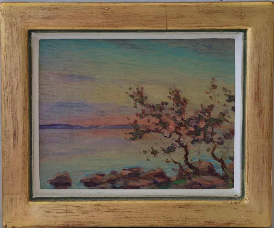 Shore tree in the evening