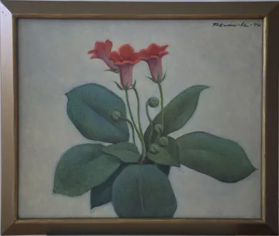 Red flowers