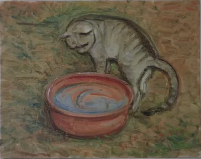 Cat and a fish platter