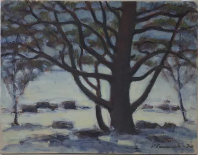 Winter tree