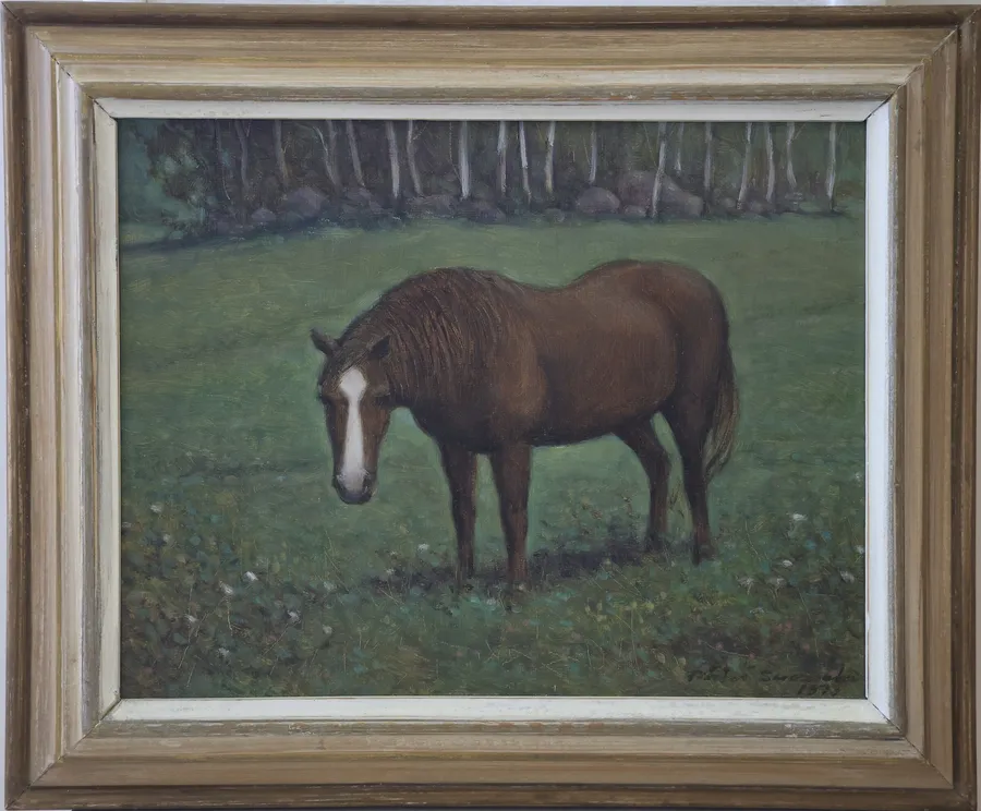 Poku, the horse
