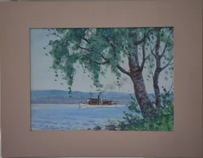 Ship behind the trees