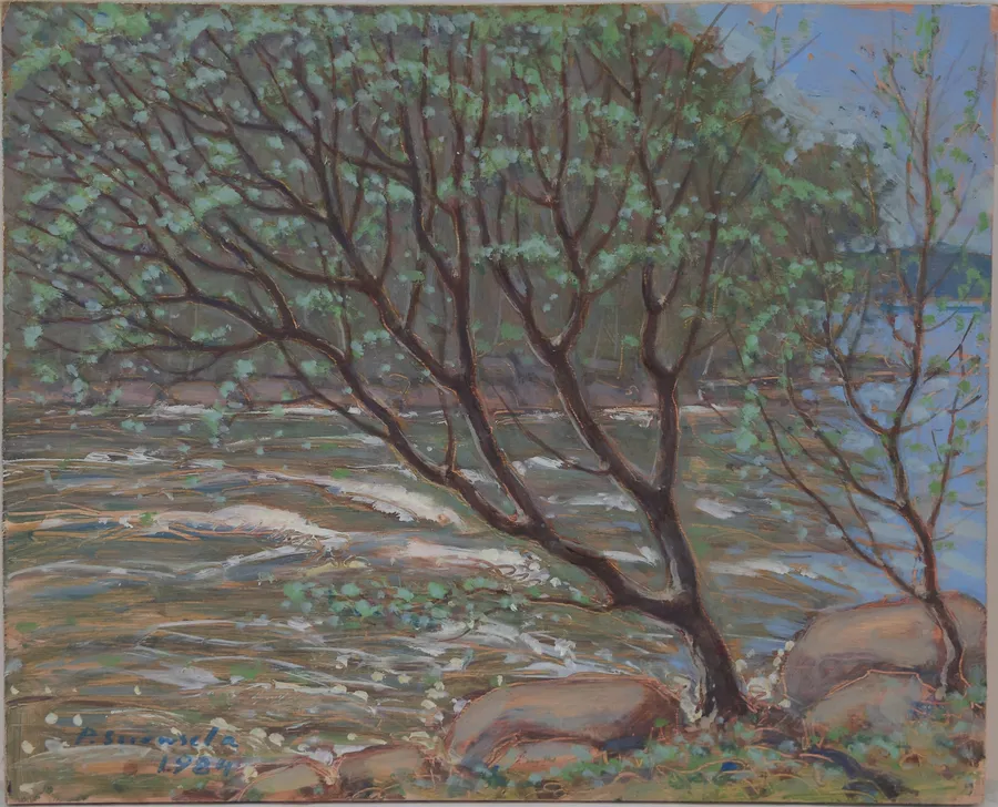 Tree by the rapids