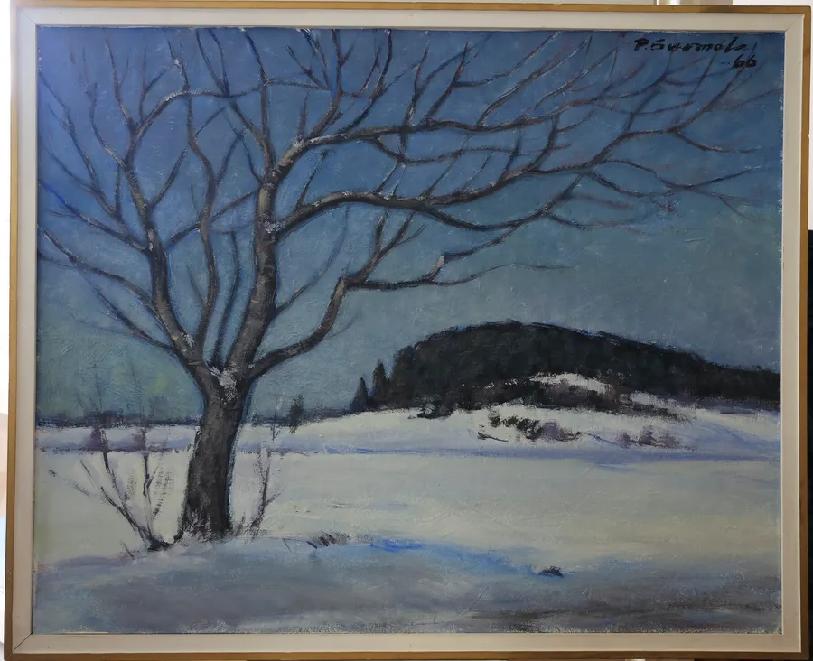 Winter landscape