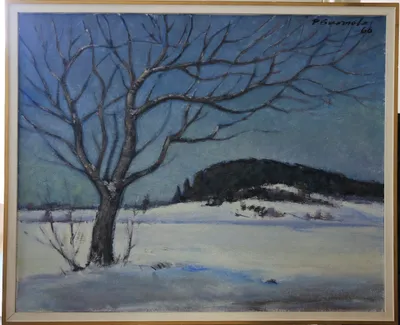 Winter landscape