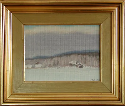 Talasniemi