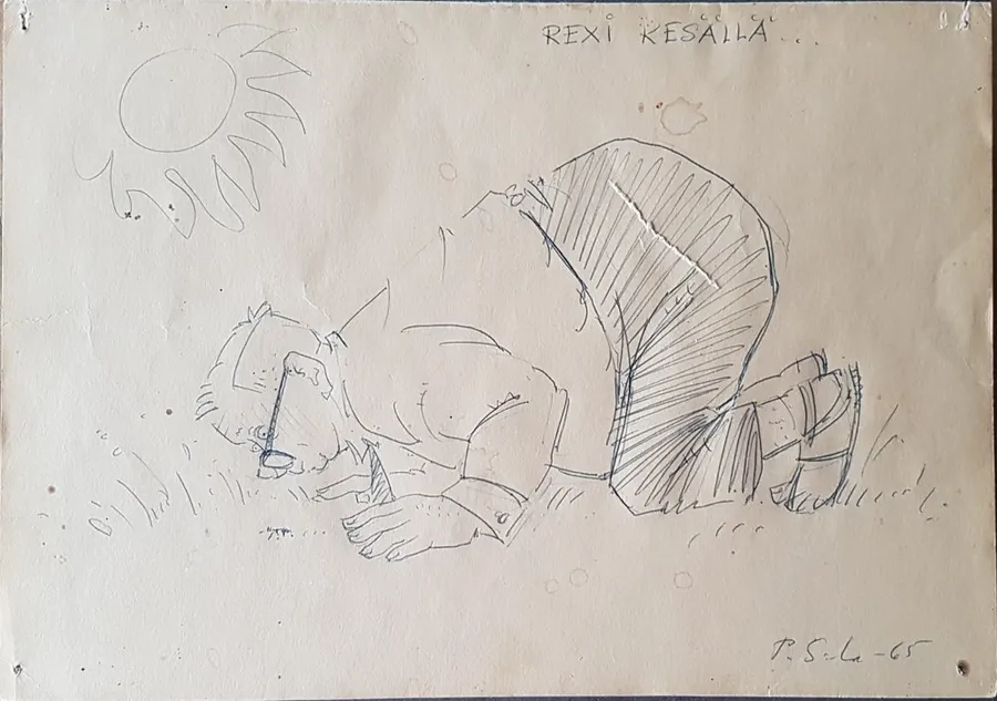 Rexi in Summer