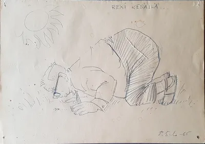 Rexi in Summer