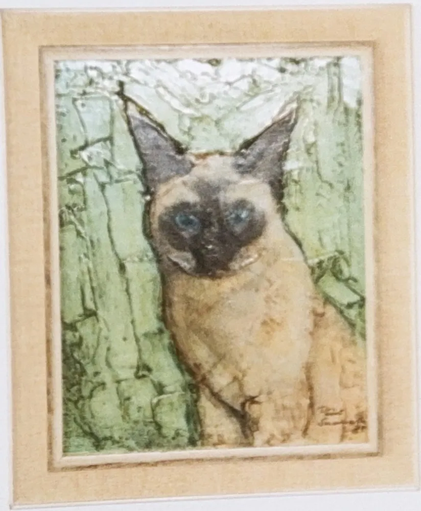 Cicero the Cat